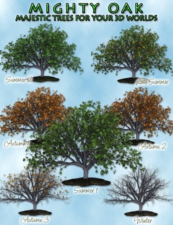 Lisa's Botanicals - Mighty Oak by N/A