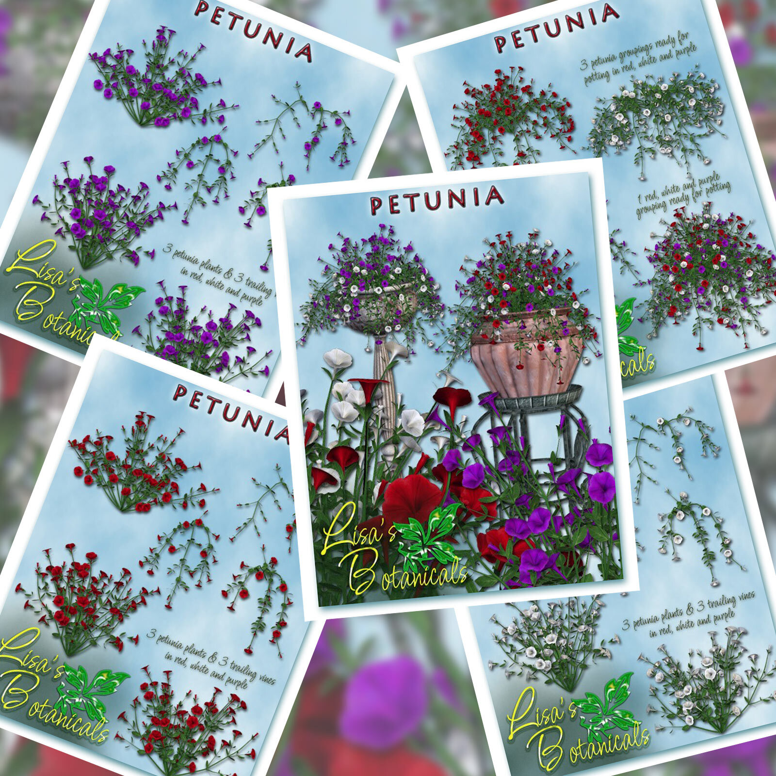 Lisa's Botanicals - Petunia by N/A