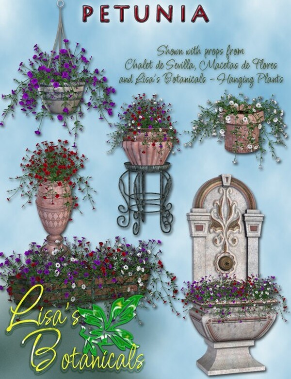 Lisa's Botanicals - Petunia by N/A