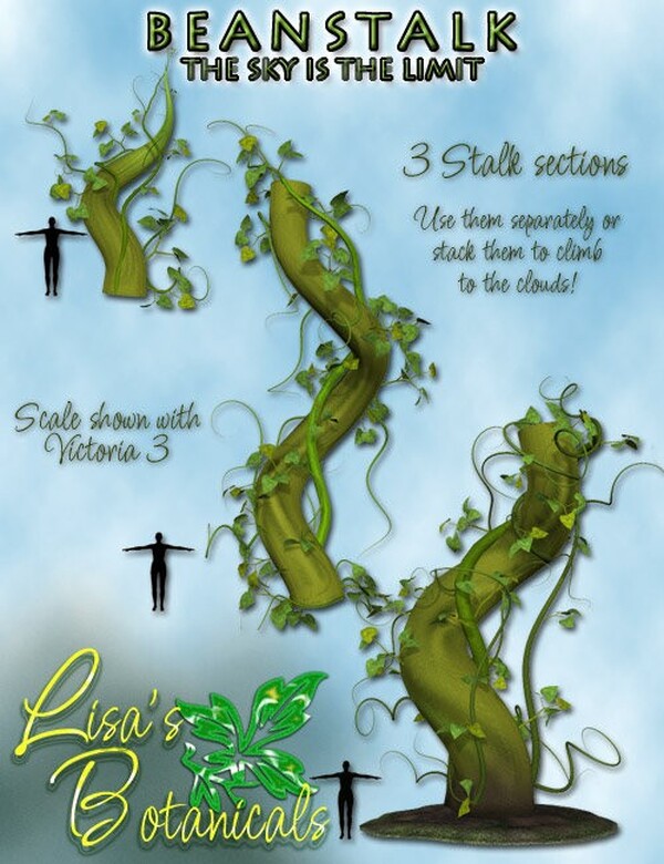 Lisa's Botanicals - Beanstalk by N/A
