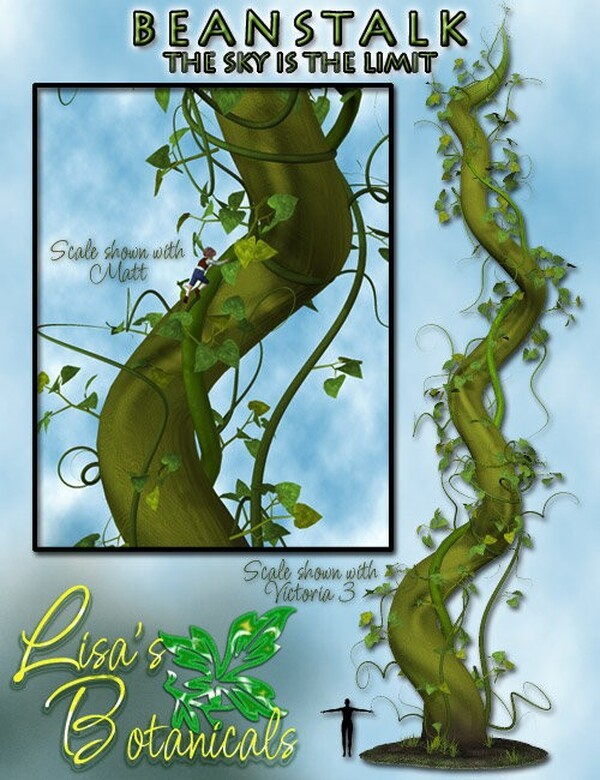 Lisa's Botanicals - Beanstalk by N/A