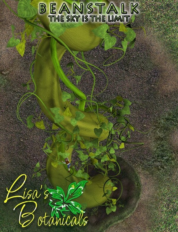 Lisa's Botanicals - Beanstalk by N/A