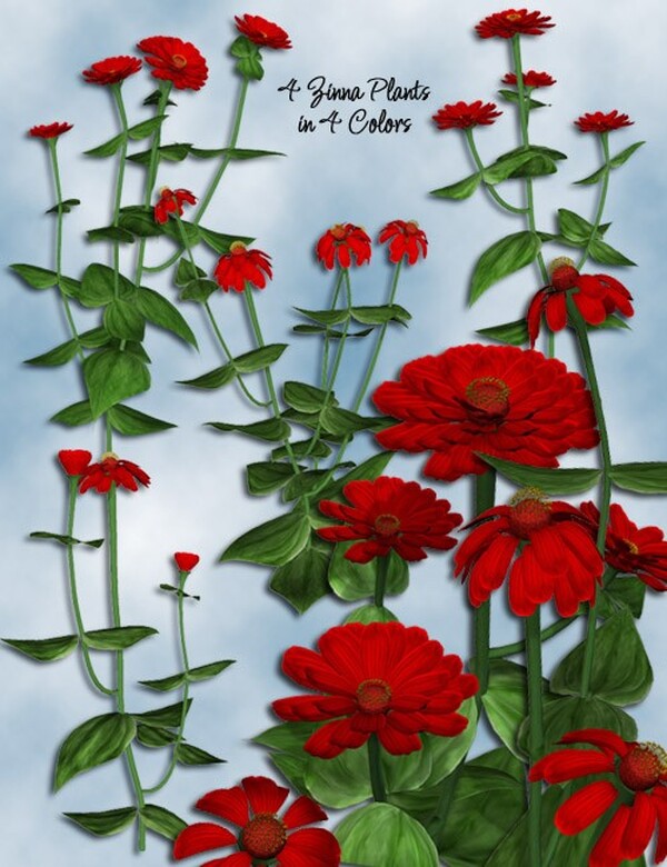 Lisa's Botanicals - Zinnia by N/A
