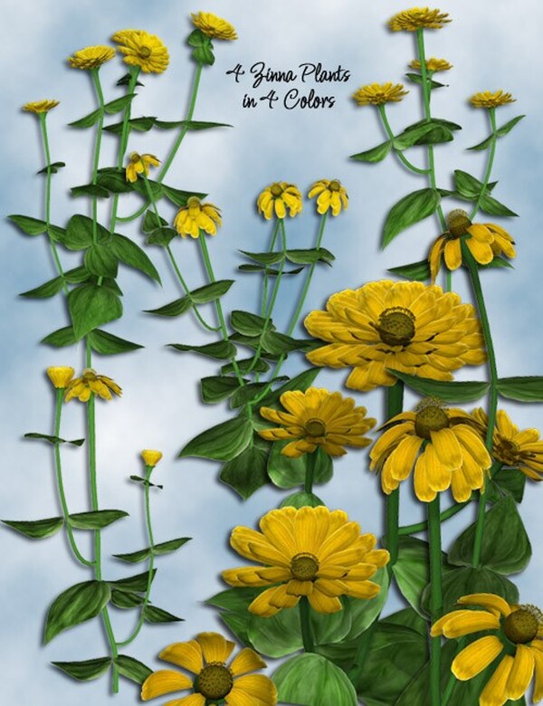 Lisa's Botanicals - Zinnia by N/A