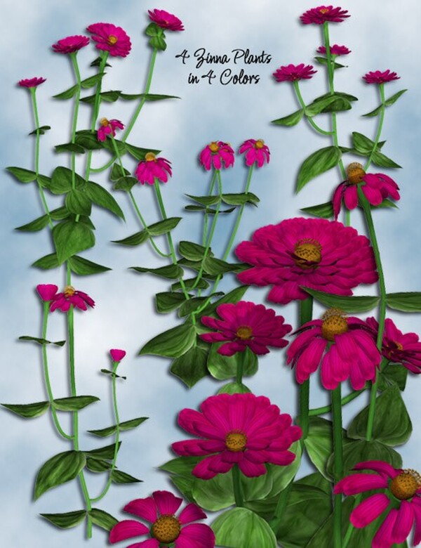 Lisa's Botanicals - Zinnia by N/A