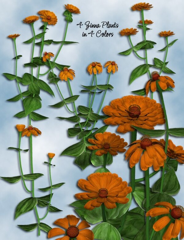 Lisa's Botanicals - Zinnia by N/A