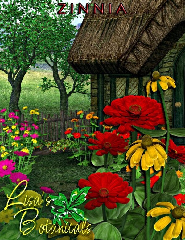 Lisa's Botanicals - Zinnia by N/A