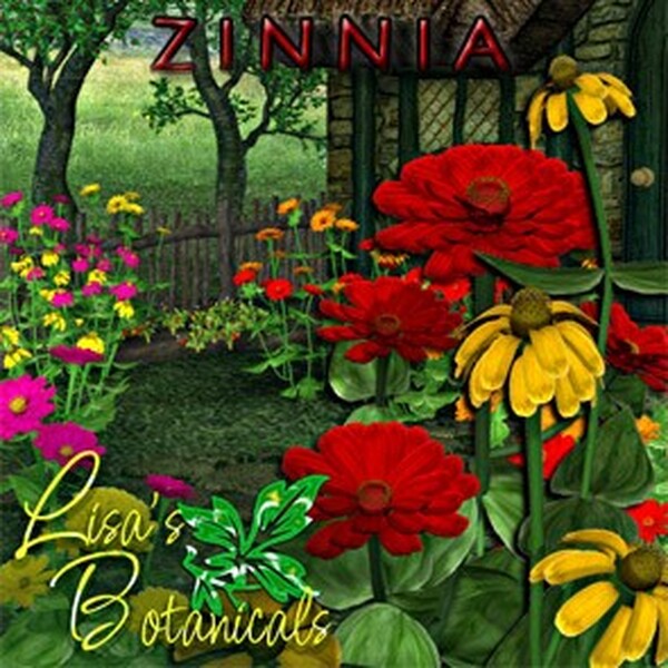 Lisa's Botanicals - Zinnia by N/A