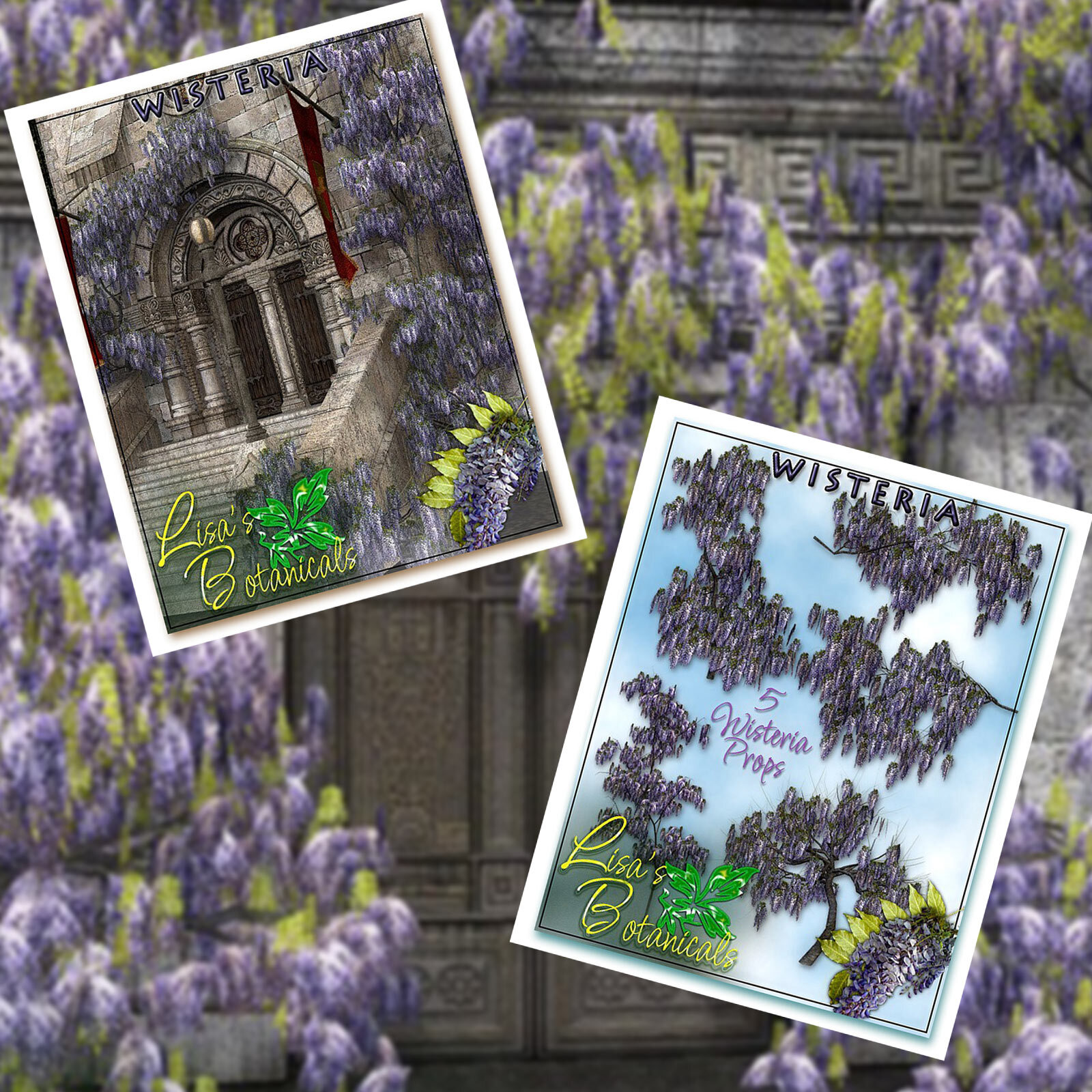 Lisa's Botanicals - Wisteria by N/A