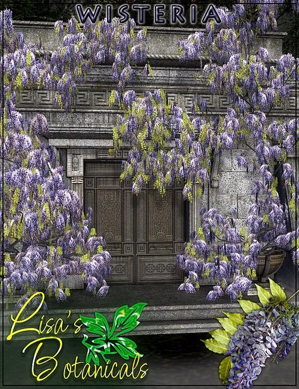 Lisa's Botanicals - Wisteria by N/A