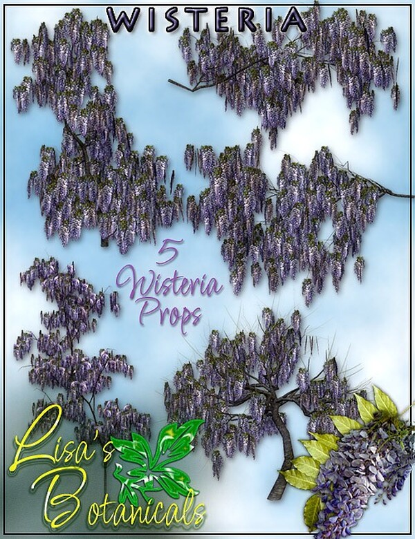 Lisa's Botanicals - Wisteria by N/A