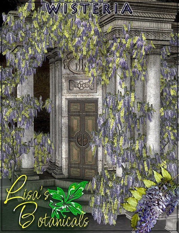 Lisa's Botanicals - Wisteria by N/A