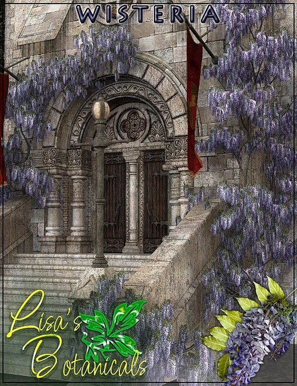 Lisa's Botanicals - Wisteria by N/A