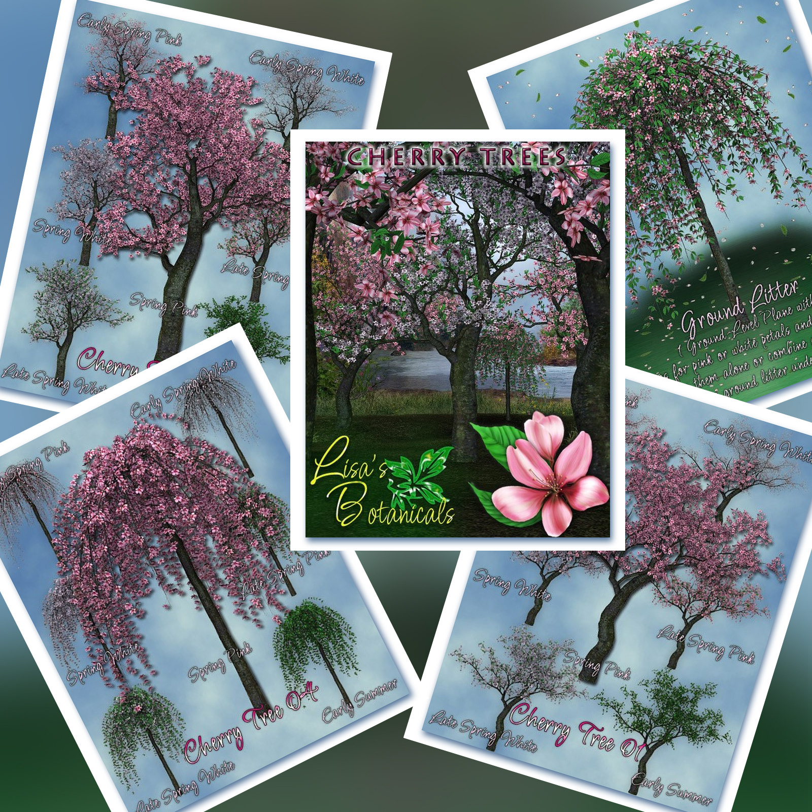 Lisa's Botanicals Cherry Trees by N/A
