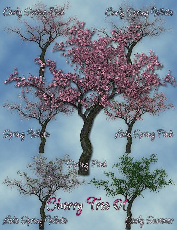 Lisa's Botanicals Cherry Trees by N/A