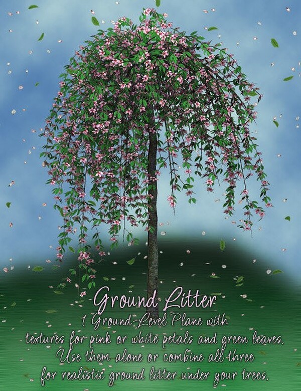 Lisa's Botanicals Cherry Trees by N/A