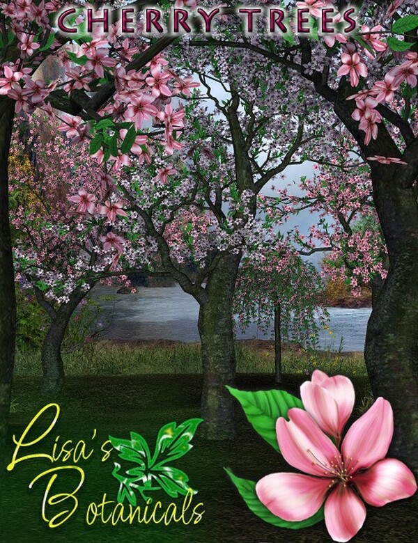 Lisa's Botanicals Cherry Trees by N/A