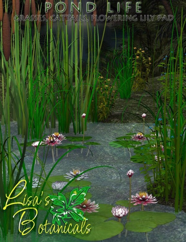 Lisa's Botanticals Pond Life Plants by N/A