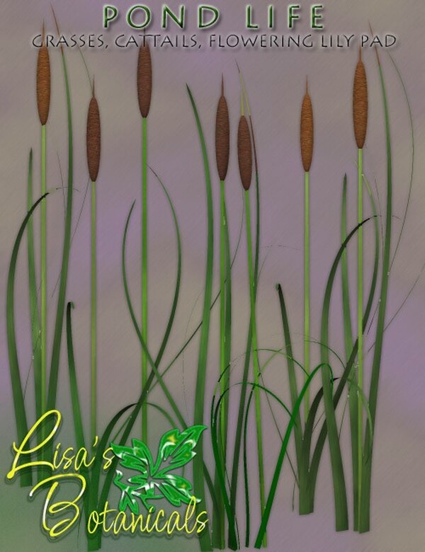 Lisa's Botanticals Pond Life Plants by N/A
