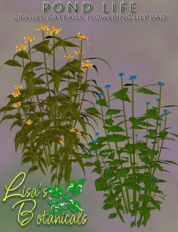 Lisa's Botanticals Pond Life Plants by N/A