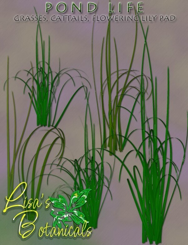 Lisa's Botanticals Pond Life Plants by N/A