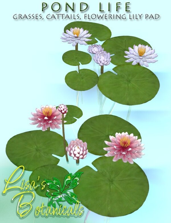 Lisa's Botanticals Pond Life Plants by N/A
