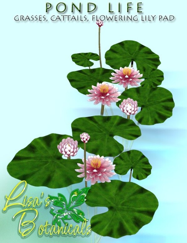 Lisa's Botanticals Pond Life Plants by N/A