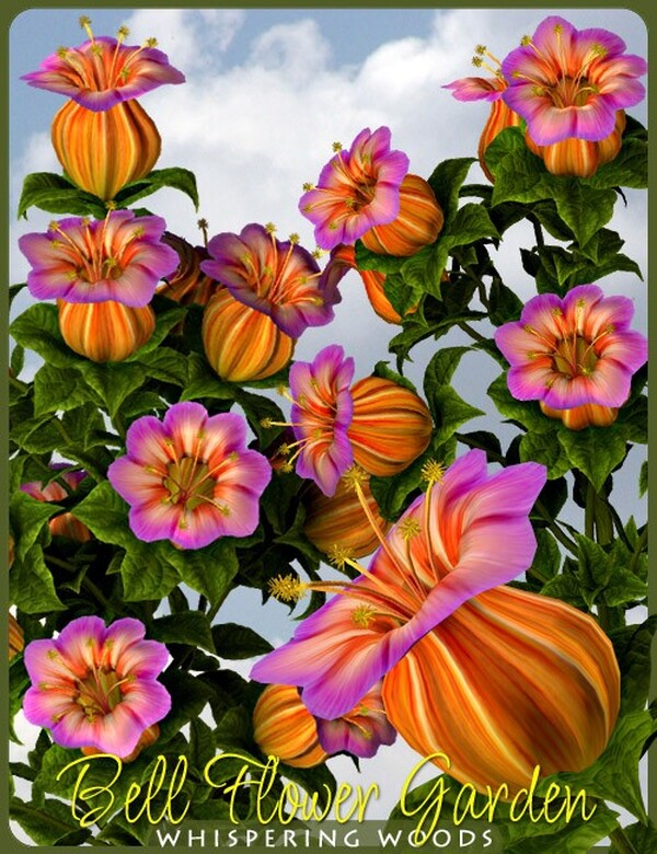 Lisa's Botanicals - Bell Flower Garden by N/A