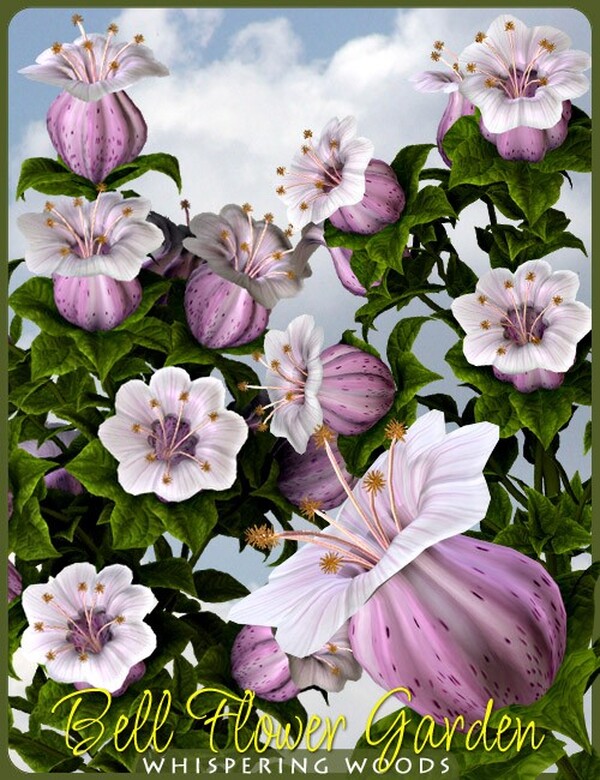 Lisa's Botanicals - Bell Flower Garden by N/A