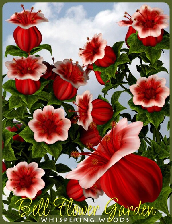 Lisa's Botanicals - Bell Flower Garden by N/A