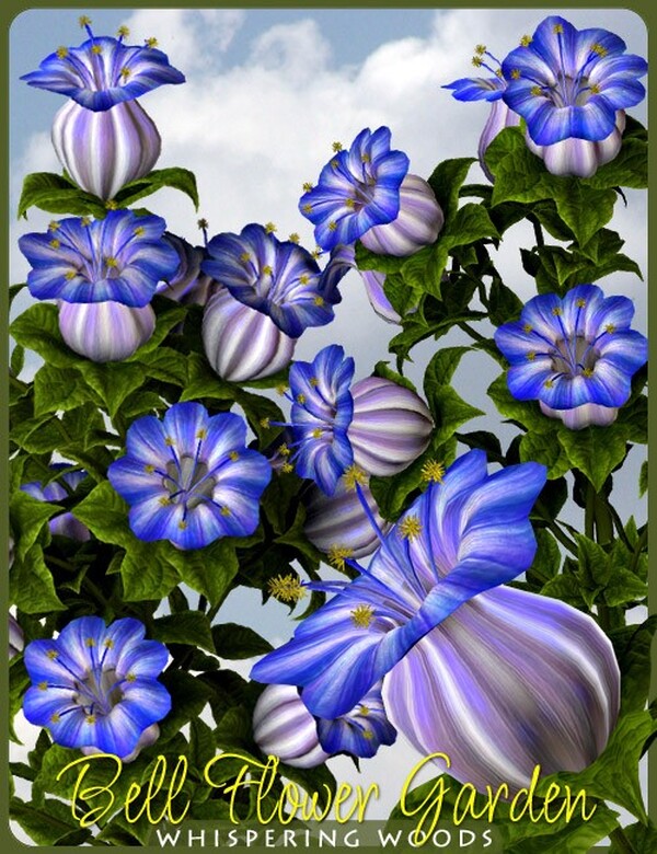 Lisa's Botanicals - Bell Flower Garden by N/A