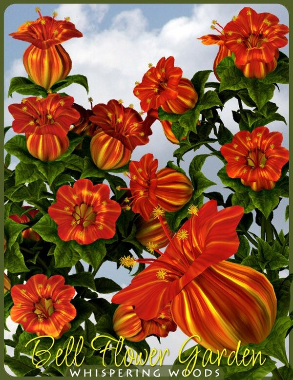 Lisa's Botanicals - Bell Flower Garden by N/A