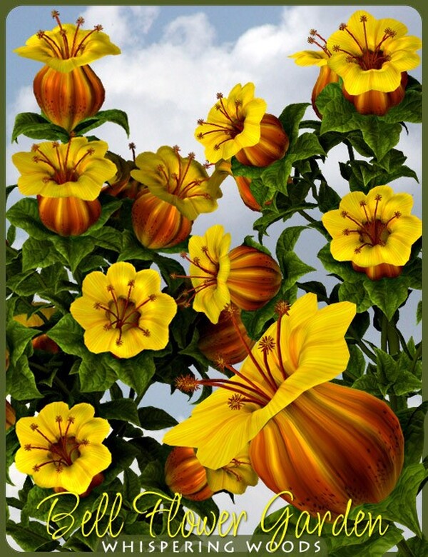 Lisa's Botanicals - Bell Flower Garden by N/A