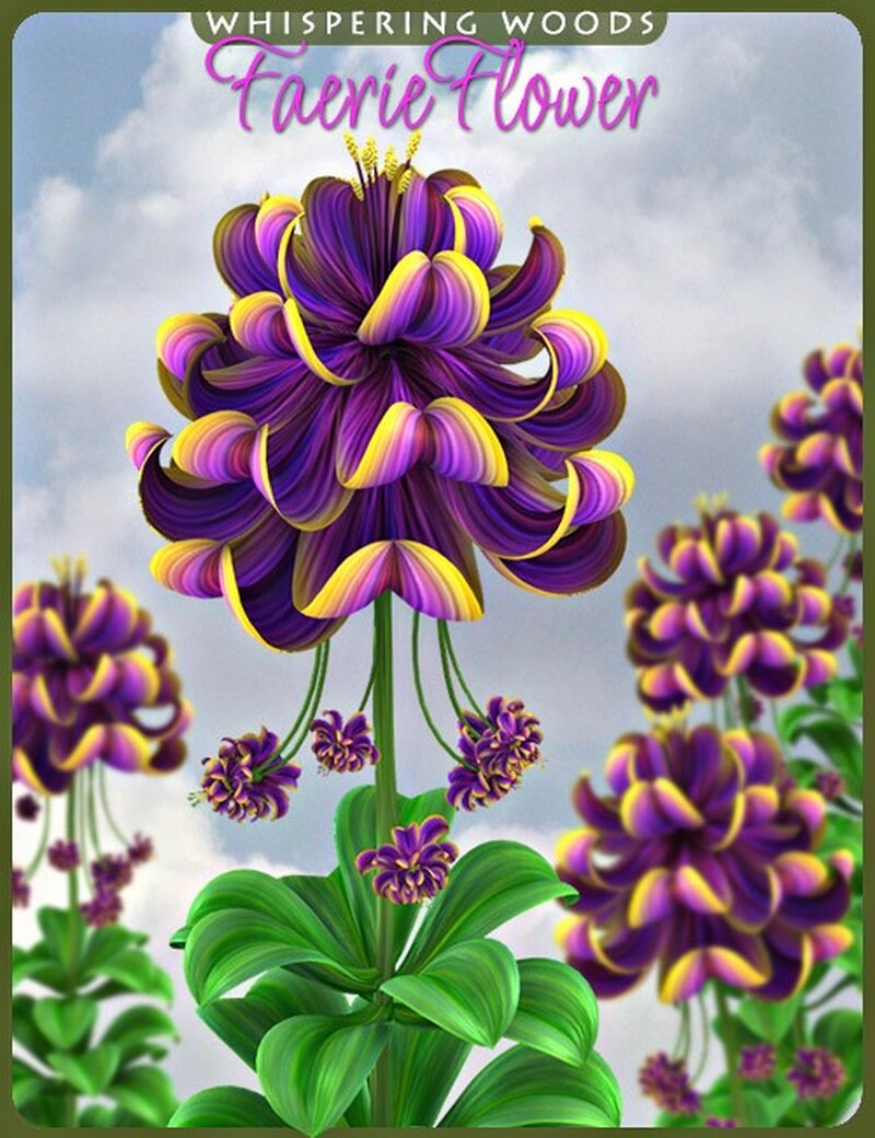 Lisa's Botanicals - Faerie Flower by N/A