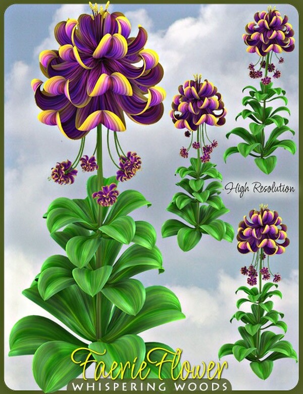 Lisa's Botanicals - Faerie Flower by N/A