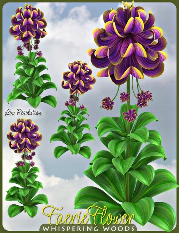 Lisa's Botanicals - Faerie Flower by N/A