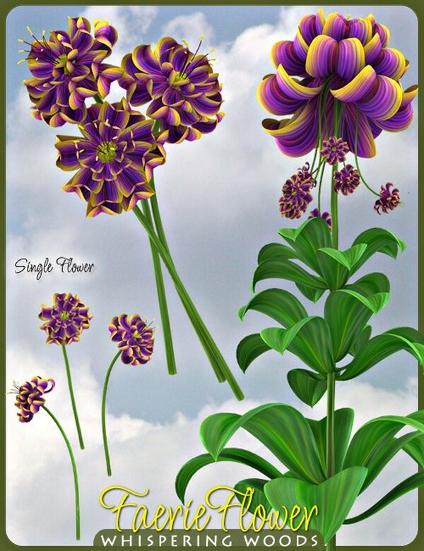Lisa's Botanicals - Faerie Flower by N/A