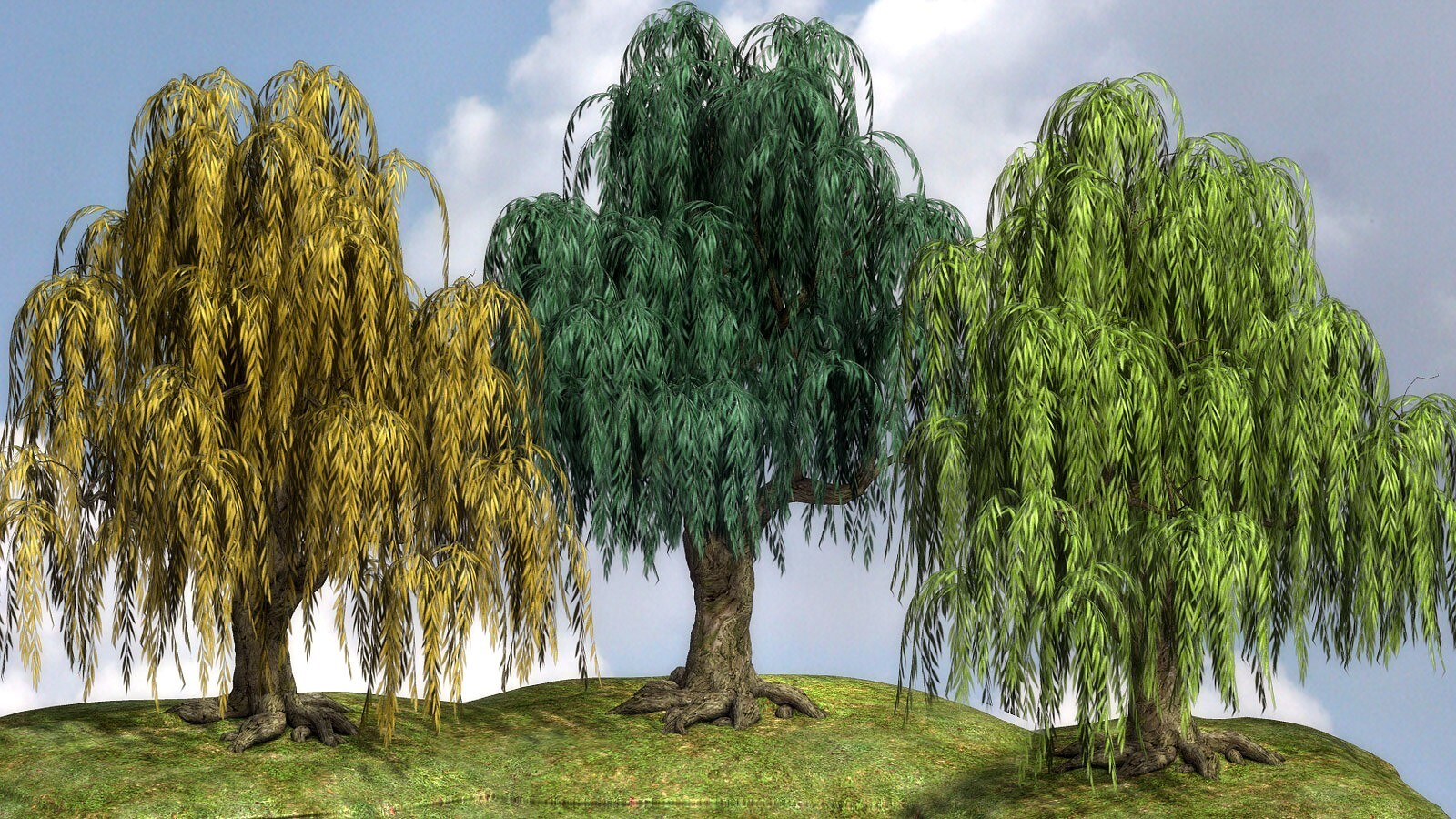 Lisa's Botanicals - Weeping Willow by N/A