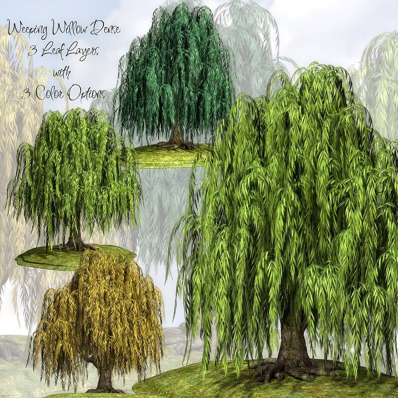 Lisa's Botanicals - Weeping Willow by N/A