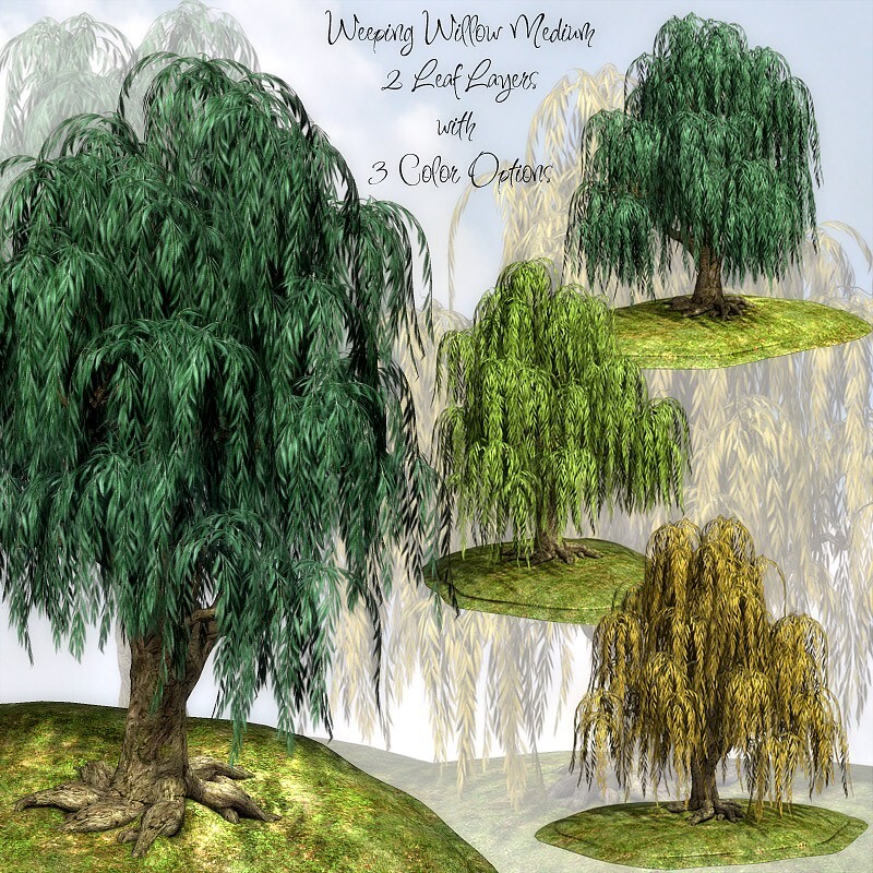 Lisa's Botanicals - Weeping Willow by N/A