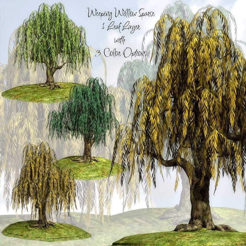 Lisa's Botanicals - Weeping Willow by N/A