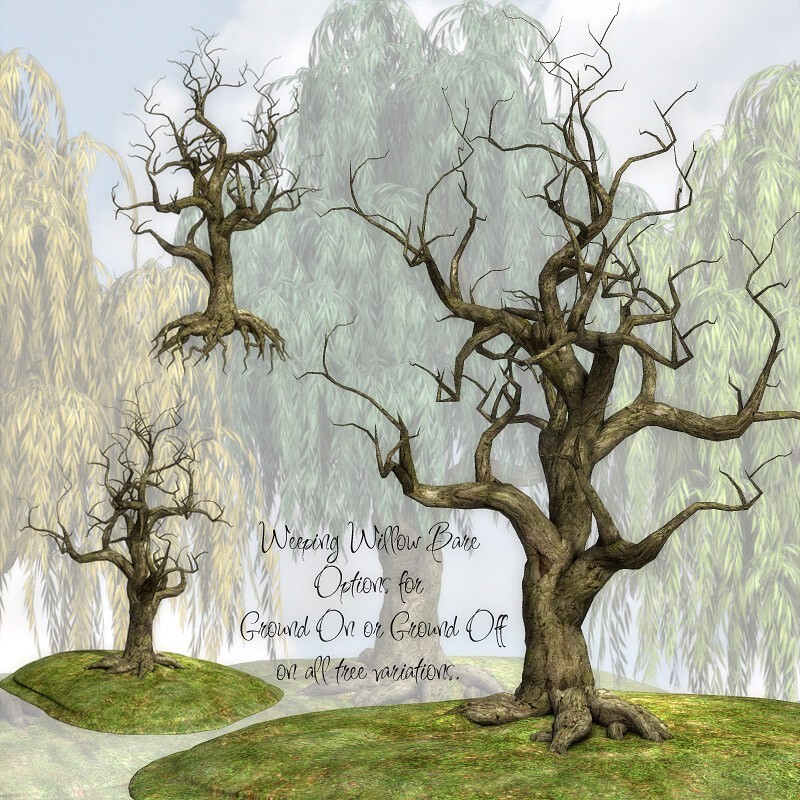 Lisa's Botanicals - Weeping Willow by N/A