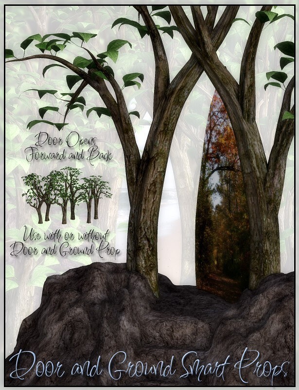 Lisa's Botanicals - Forest Portals by N/A