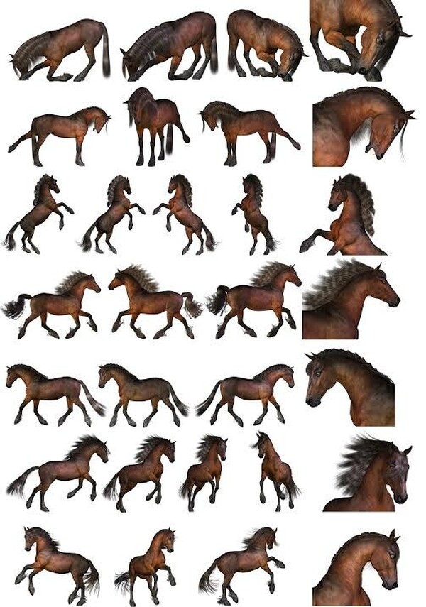 Flint_Hawk Pose Pack 1 for the HiveWire Horse by N/A
