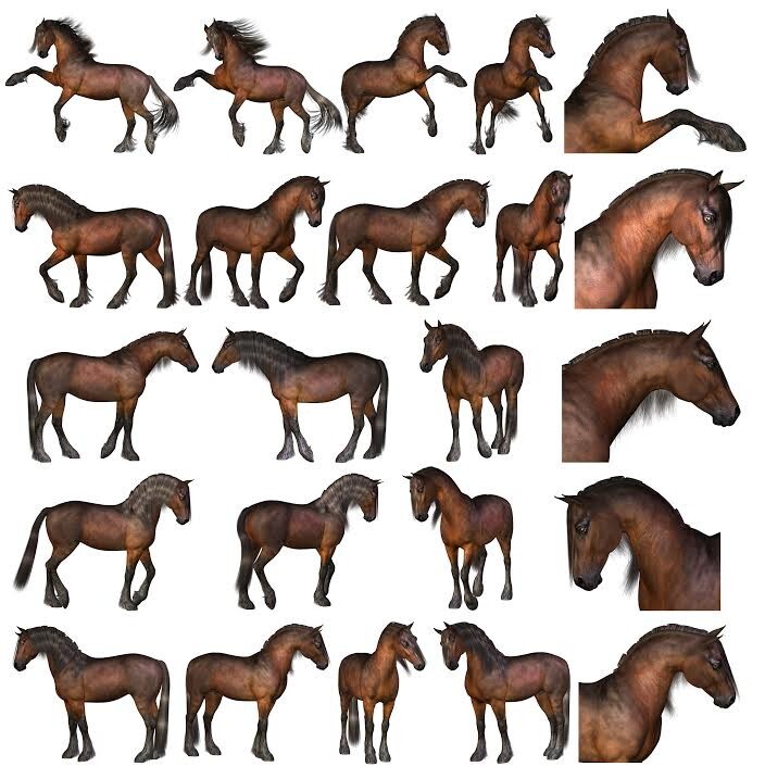 Flint_Hawk Pose Pack 1 for the HiveWire Horse by N/A