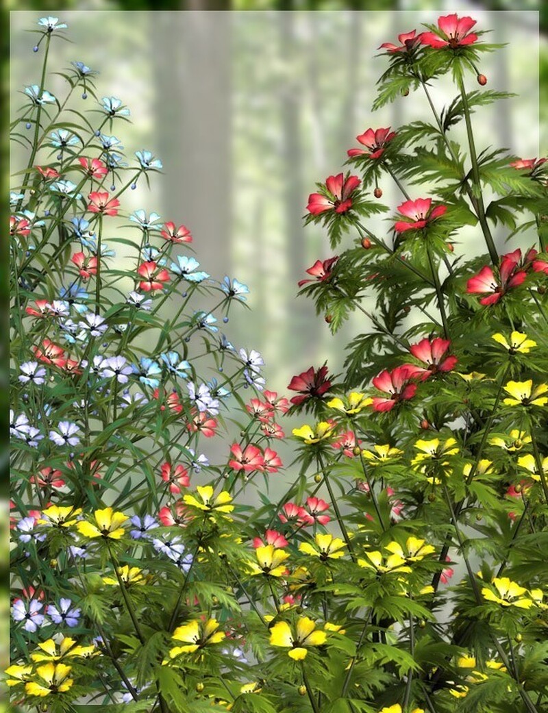 Lisa's Botanicals - FantaStar for Starweed by N/A