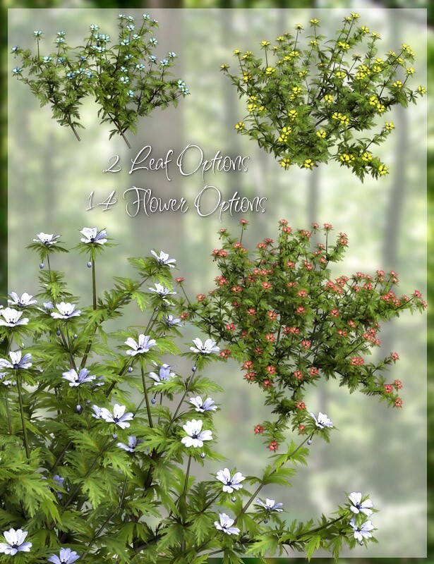 Lisa's Botanicals - FantaStar for Starweed by N/A