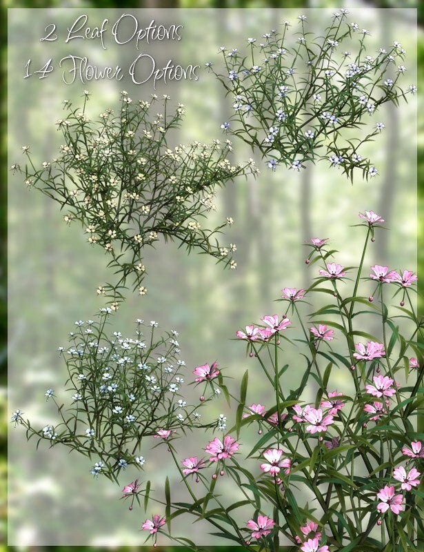 Lisa's Botanicals - FantaStar for Starweed by N/A