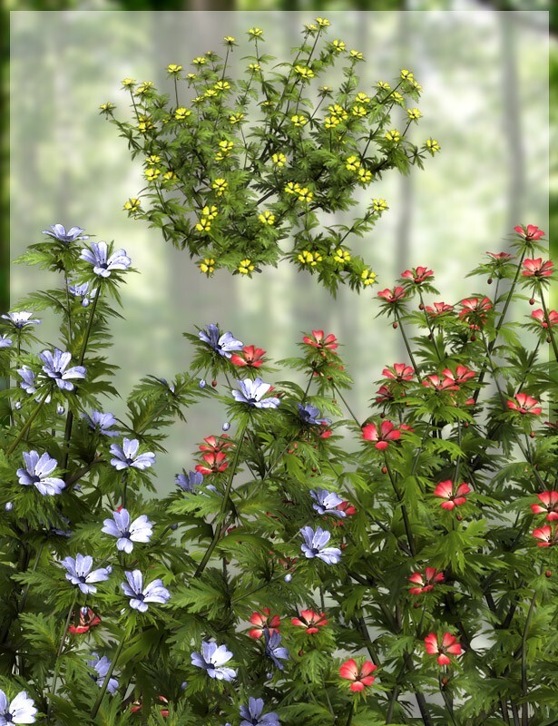 Lisa's Botanicals - FantaStar for Starweed by N/A