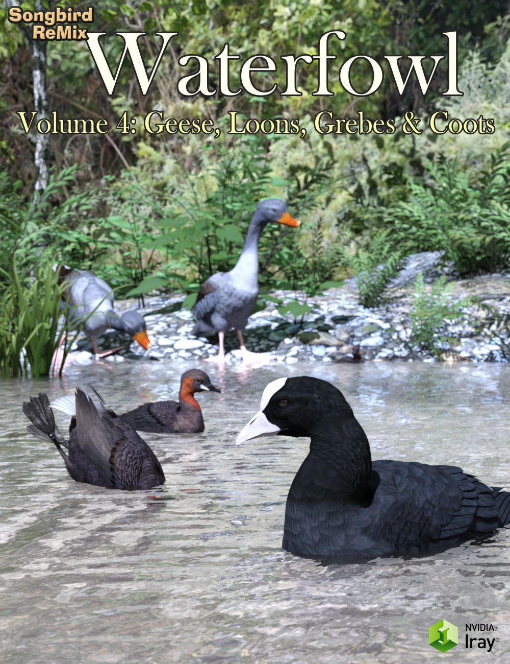 Songbird ReMix  Waterfowl Vol 4 - Geese, Loons, Grebes & Coots by N/A